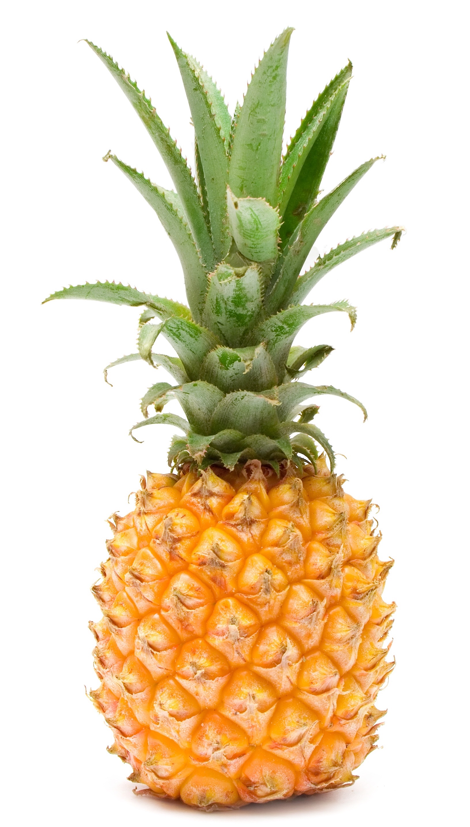 Pineapple fruit hot sale